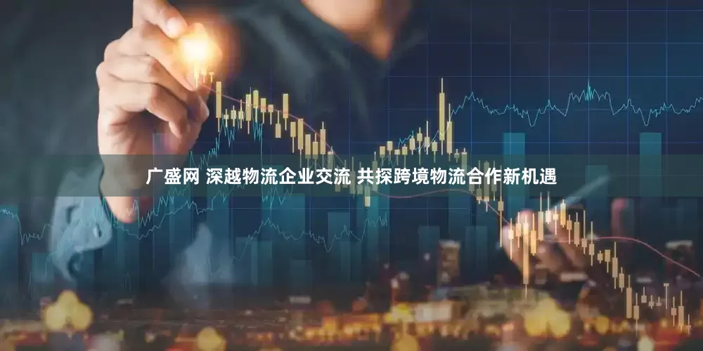 广盛网 深越物流企业交流 共探跨境物流合作新机遇