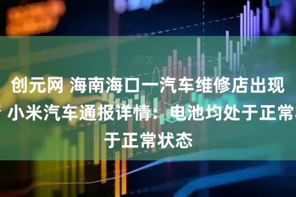 创元网 海南海口一汽车维修店出现火情 小米汽车通报详情：电池均处于正常状态