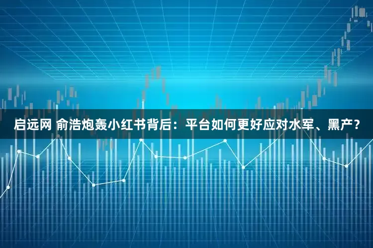 启远网 俞浩炮轰小红书背后：平台如何更好应对水军、黑产？